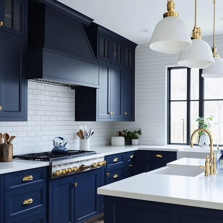 Navy Blue and White- small modular kitchen colour combination