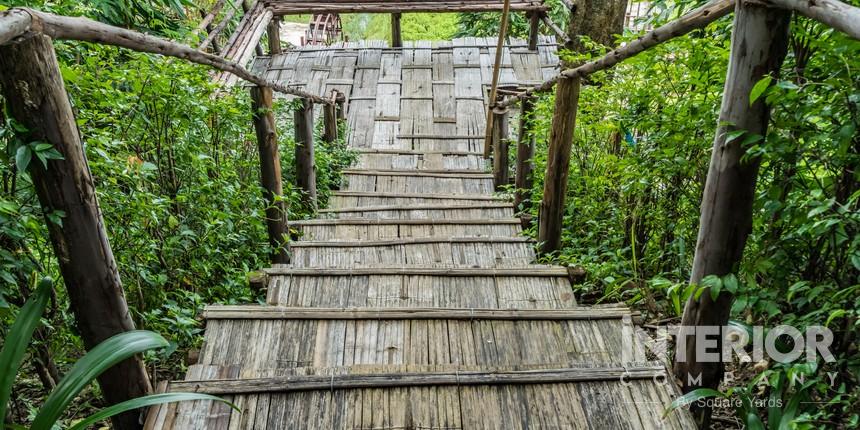 Bamboo staircase