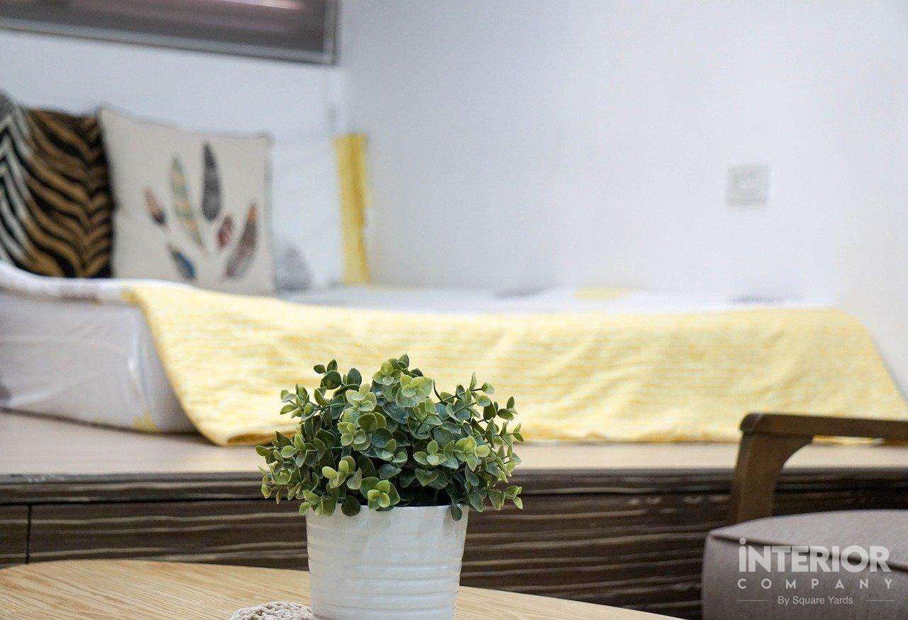 Indoor Plants for Bedroom 