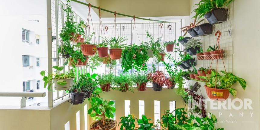Transform Balcony to Hanging Garden