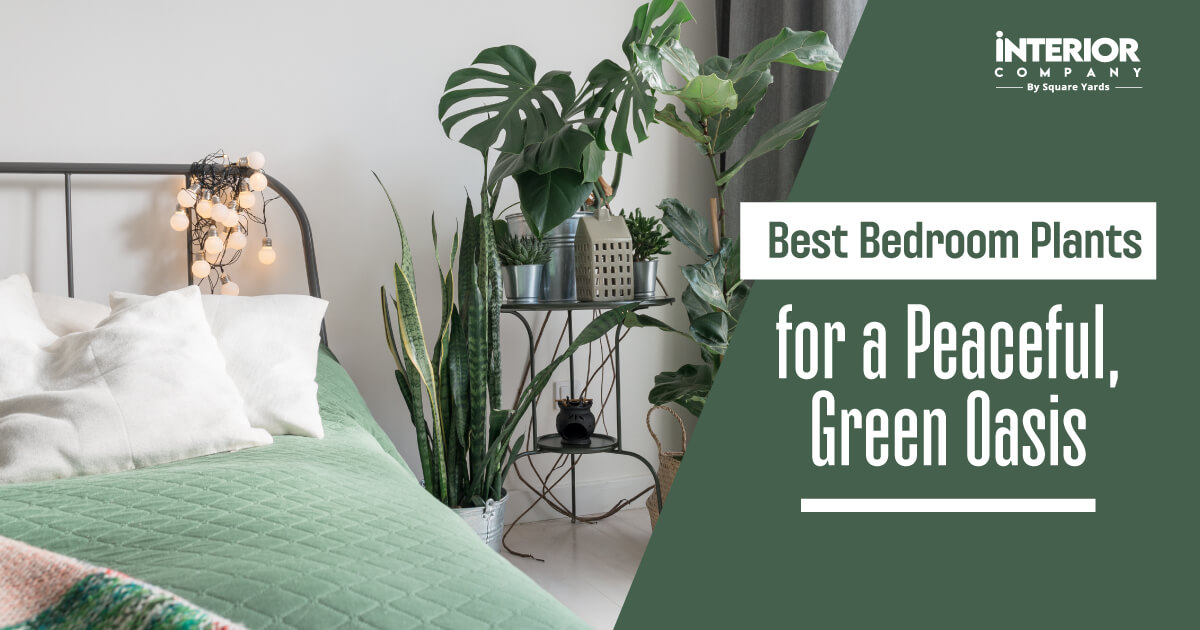 15+Top Bedroom Plants That You Need for Cleaner Air and Better Sleep