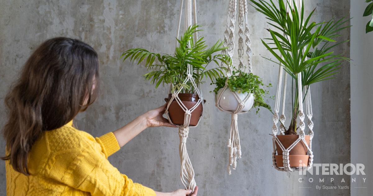 Plant-Hangings