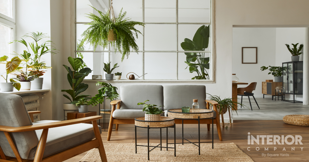 Best And Easiest-To-Care-For Indoor Plants For Home And Office