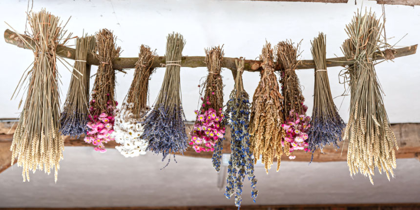 Gather Dried Flowers 
