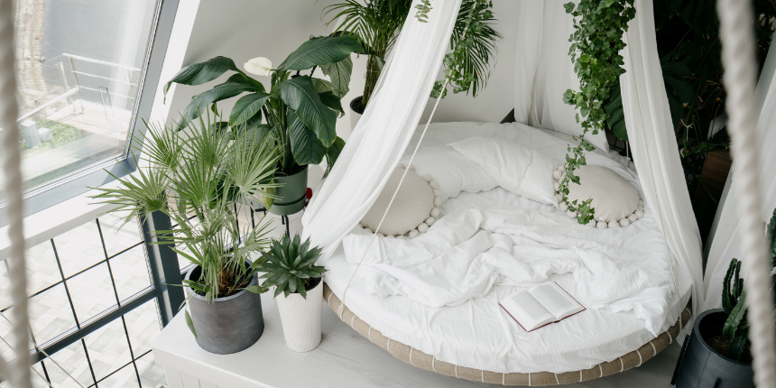 Plant-iful Guest Room 