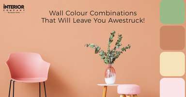 17+ Trending Wall Colour Combinations for Home Aesthetics