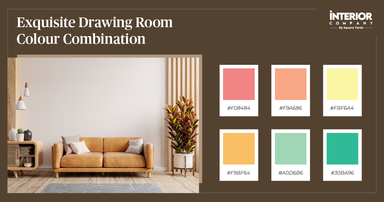 Best Colour Combinations for Drawing Room Walls You Want to Discover