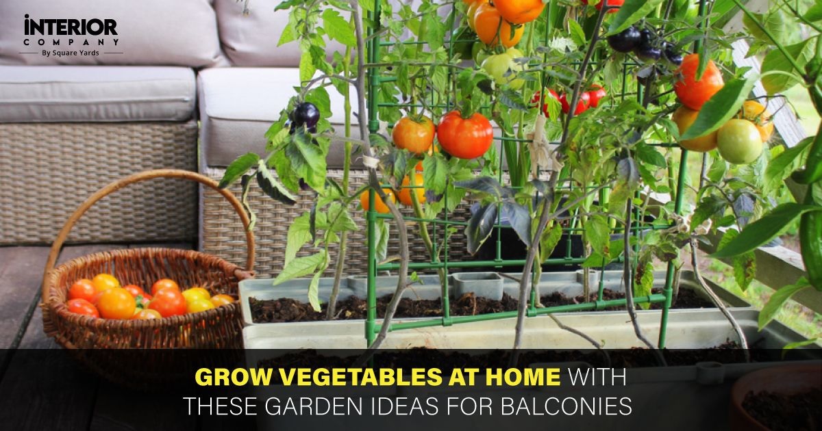 8 Functional Balcony Vegetable Garden Ideas You Must Discover