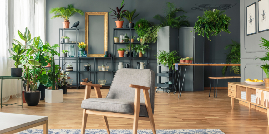 Use Greenery to Elevate the Living Room
