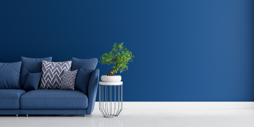 Blue and White Color Combination for Living Room