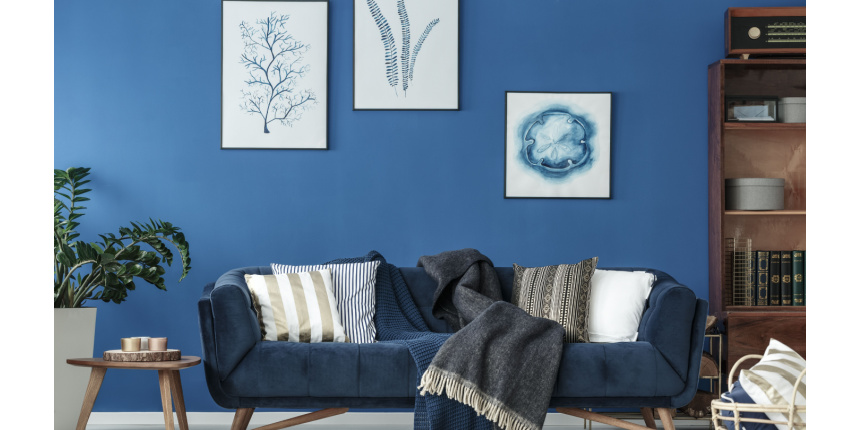 Blue Colour Combinations for Living Room 