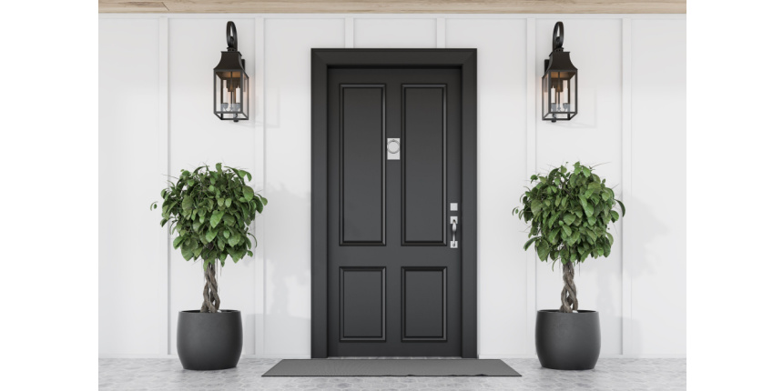 Minimalistic Black Wood Door Design for Home