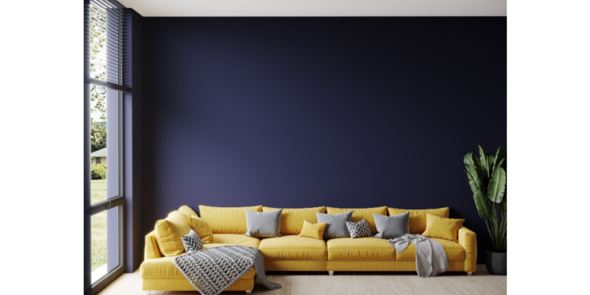 Navy Blue Living Room Color Schemes
