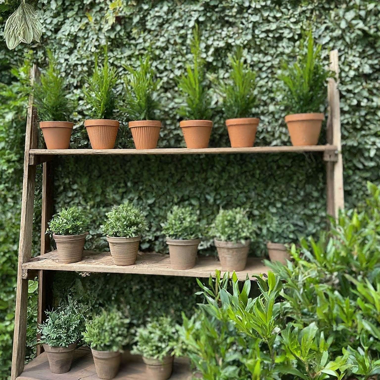 Plant Stands for Small Roof Terrace Garden