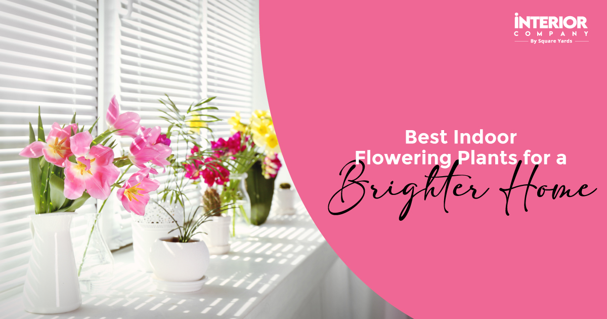 17 Best Indoor Flowering Plants for Your Home That Bloom All Year