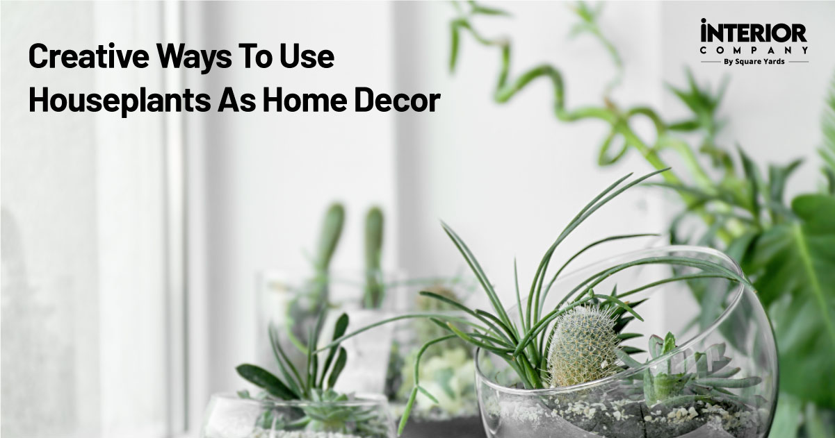 11 Creative Ways to Showcase Houseplants in Your Decor