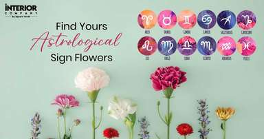 Zodiac Flowers: A Complete Guide to Astrological Sign Flowers