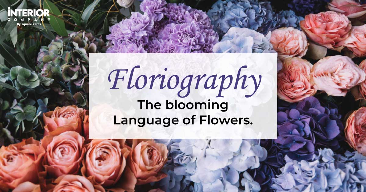 The Flower Almanac: Learn The Language of Flowers
