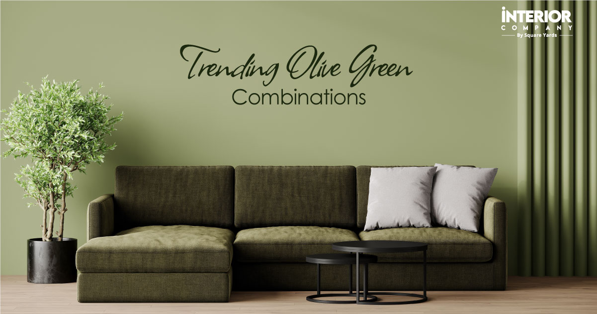 11+ Best Olive Green Colour Combinations and Harmonious Hues