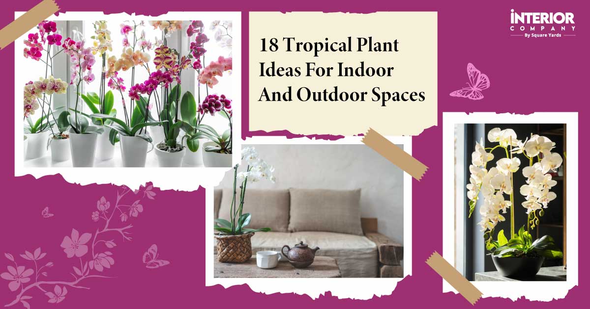 18 Aww-pealing Tropical Flowers To Enhance Your Indoor And Outdoor Areas