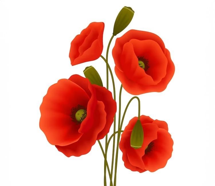 Coquelicot - Difficult Colour Names