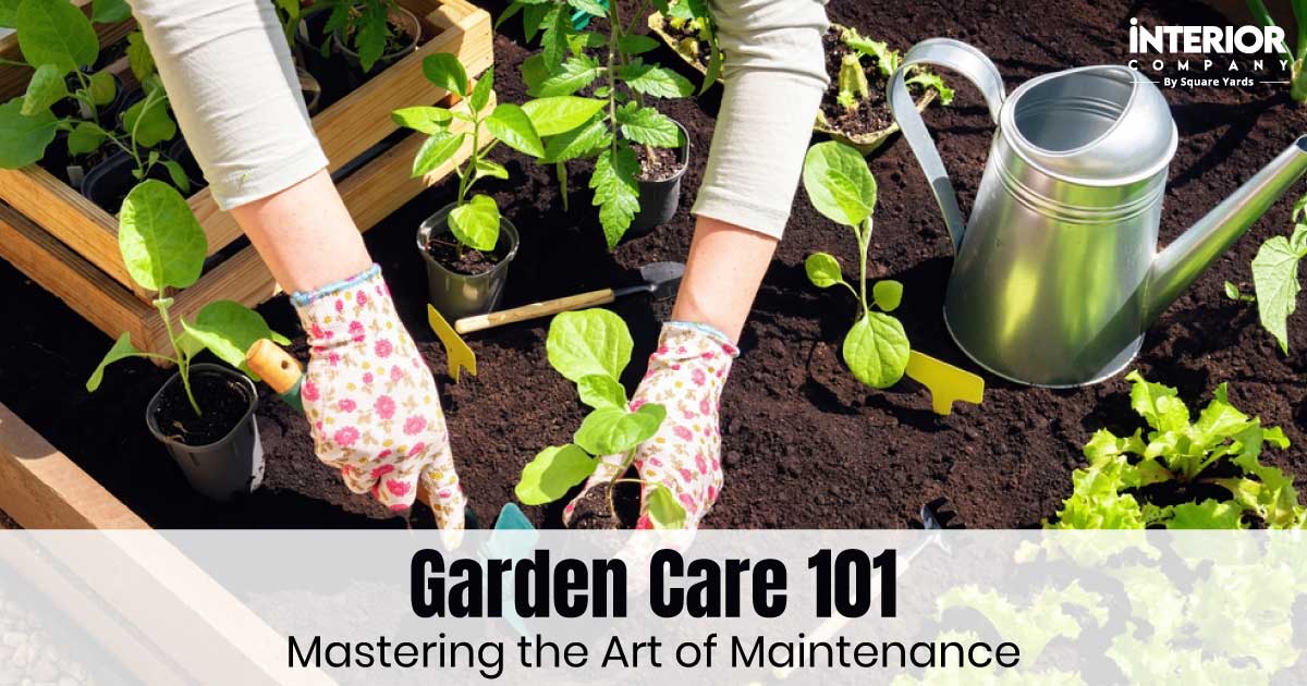 Garden Maintenance Tips