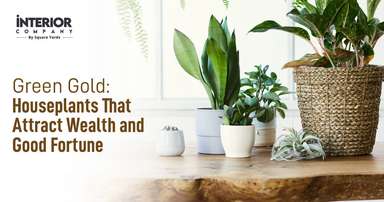 21 Lucky Plants to Invite Wealth and Positivity into Your Home