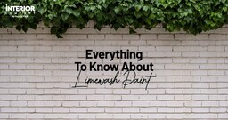 Limewash Paint: Know About Everything How to Limewash Your Home