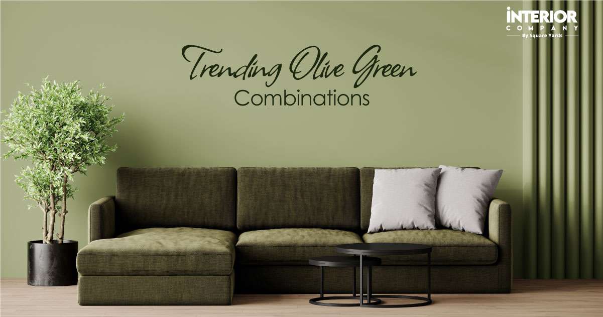 Olive Green Colour Combinations