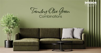 11+ Best Olive Green Colour Combinations and Harmonious Hues