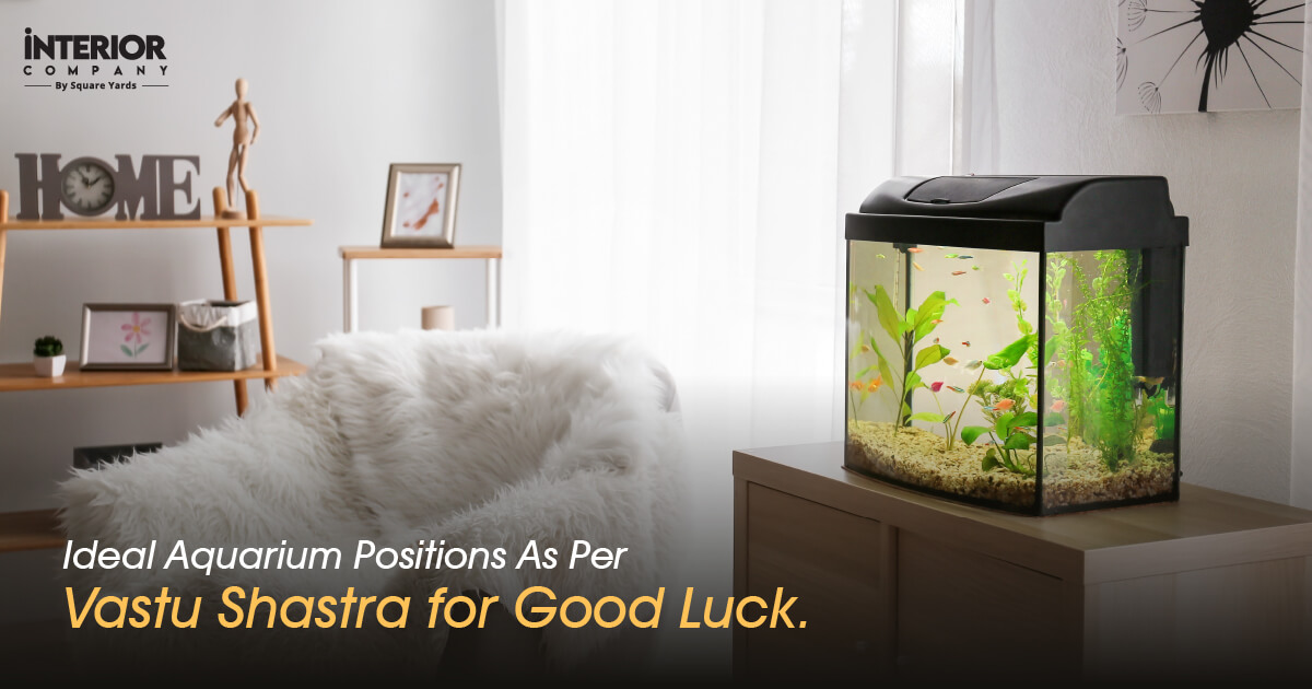 Aquarium Placement As Per Vastu- Significance, Directions And Benefits