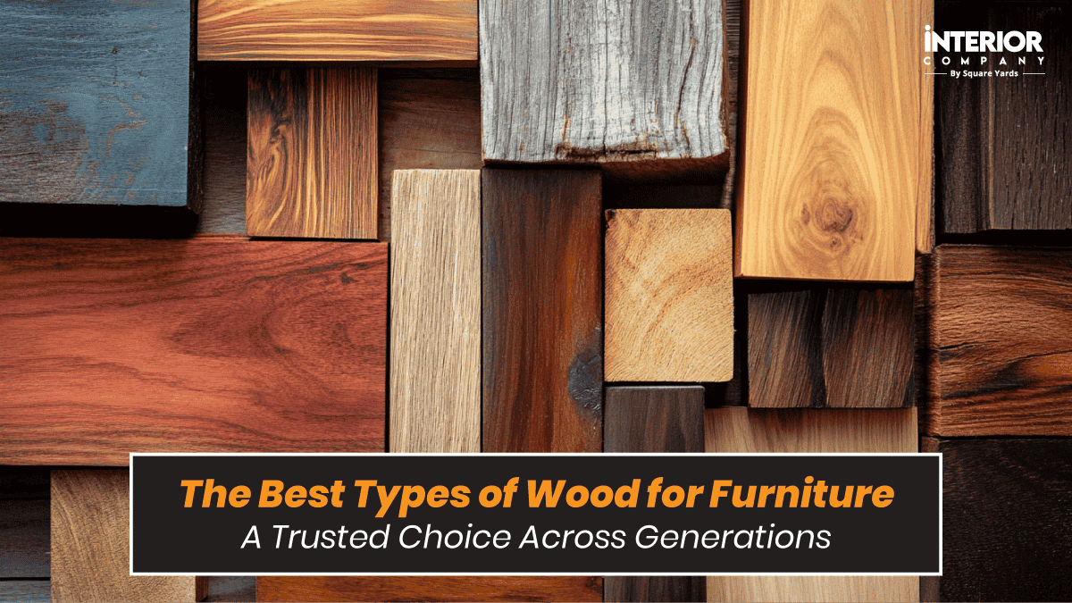 Best Types of Wood for Furniture